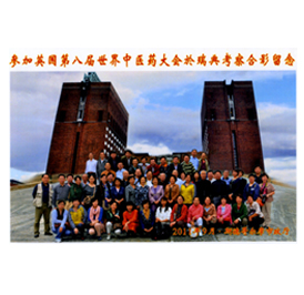 �μ�Ӣ���ڰ˽�������ҽҩ�������俼���Ӱ����