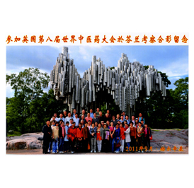 �μ�Ӣ���ڰ˽�������ҽҩ����ڷ��������Ӱ����